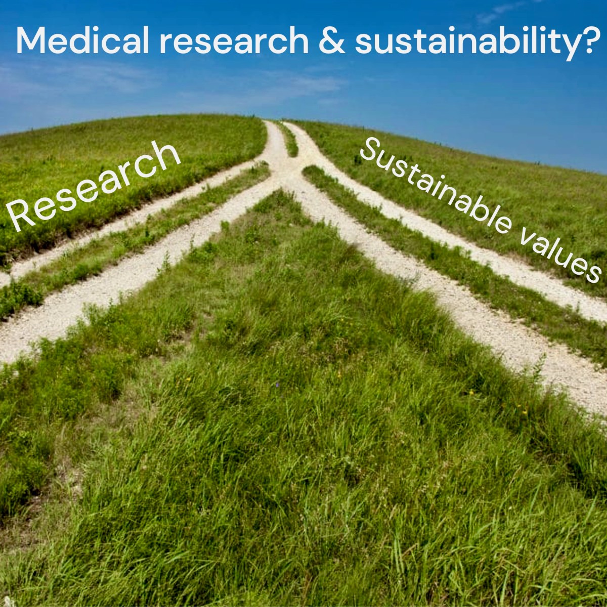 Embracing Sustainability in Research: Lessons Learned at Karolinska ...