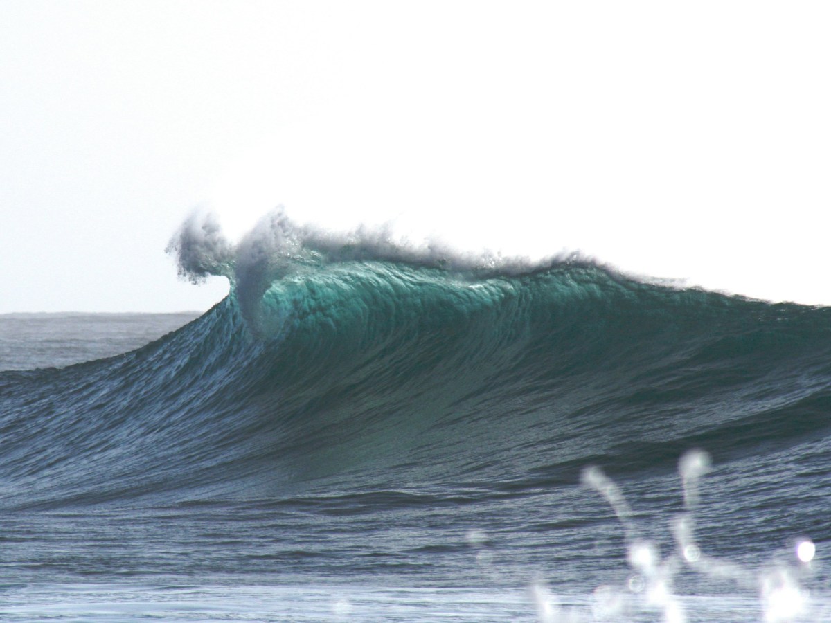 Long-Term Thinking: A Psychological Driver for Climate Action